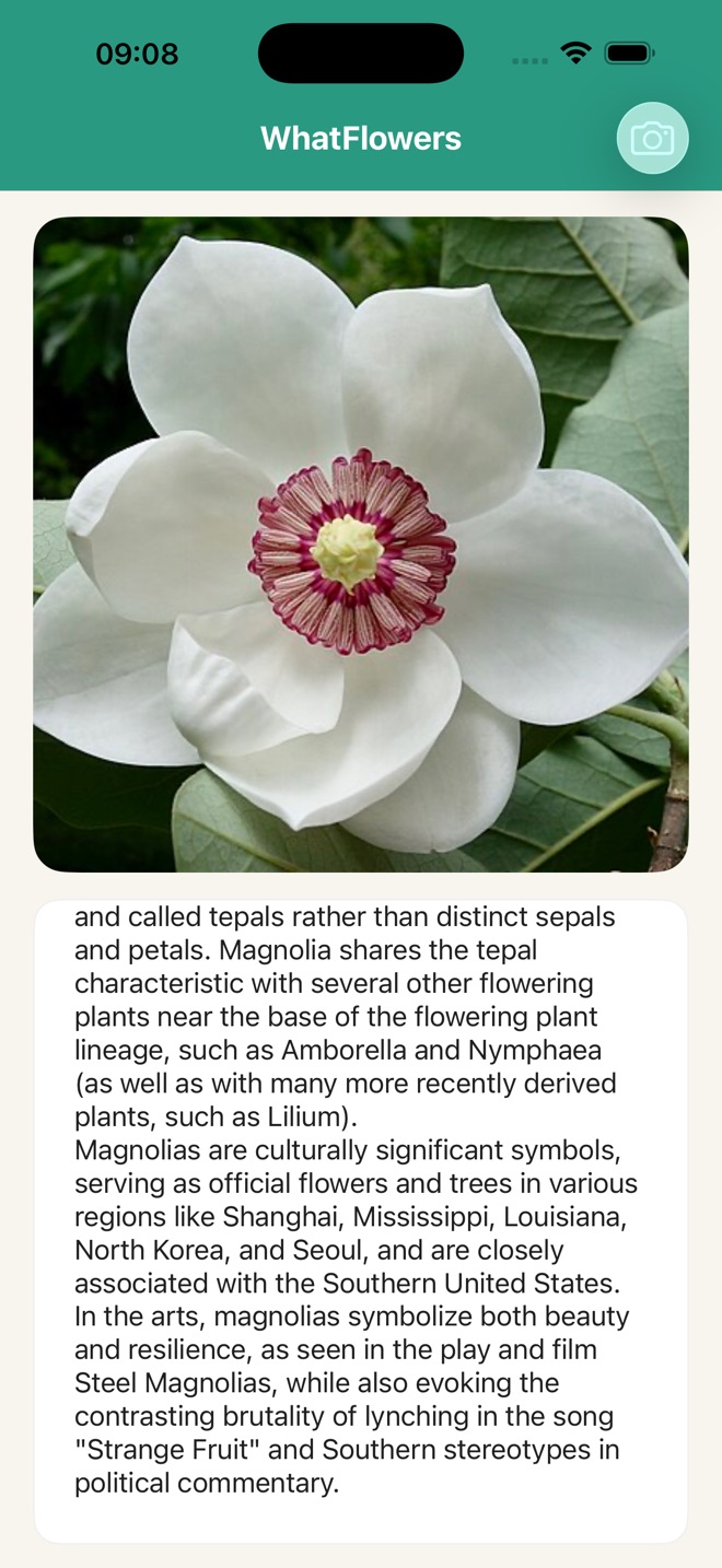 Magnolia için Wikipedia açıklamasının kaydırılmış hâli